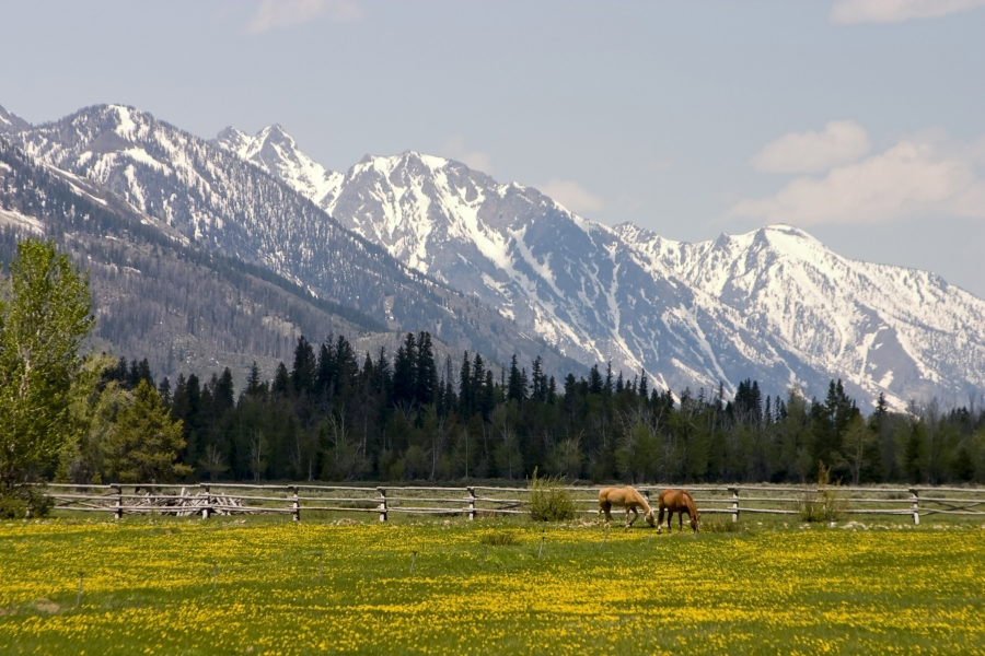 The Caldwells were driving through the Grand Tetons when Sandy saw this image out of the car window. She made her husband, Les, pull over so she could capture the shot. (Image by Sandy Caldwell)