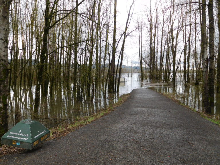 Access to Cottonwood Beach from the Washougal Dike Trail is underwater.