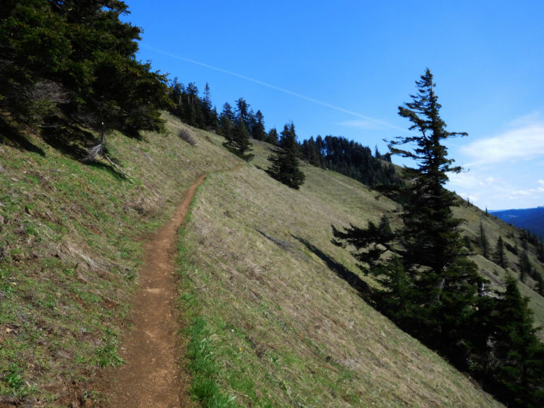 The final mile to the top of Dog Mountain features single track trails with steep downward slopes.