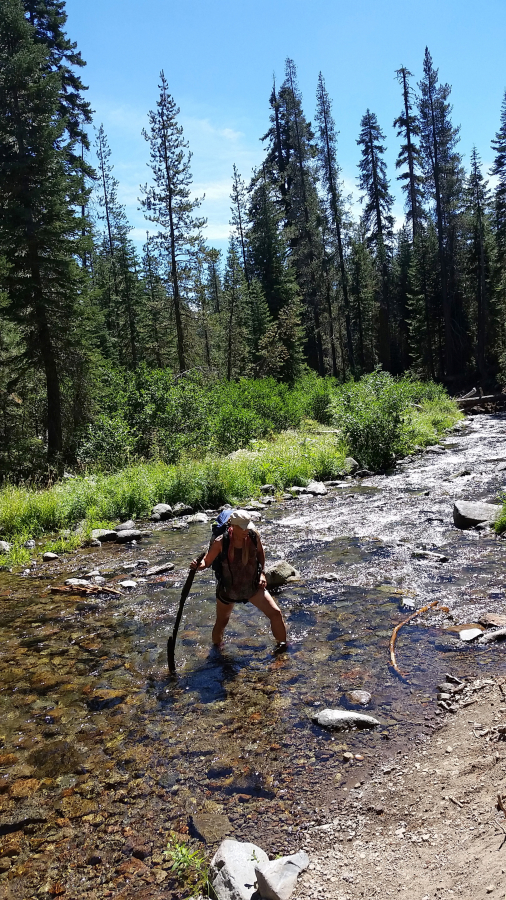 Boni crosses a creek in Mount Lassen National Park.