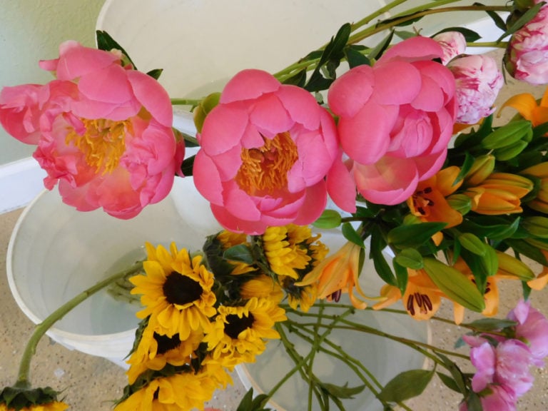 The buckets of blossoms at the Camas-based Mystic Gardens flower shop hold peonies, sunflowers, lilies and carnations. Roses, daisies and poms also are available to purchase by the stem or in bouquets.