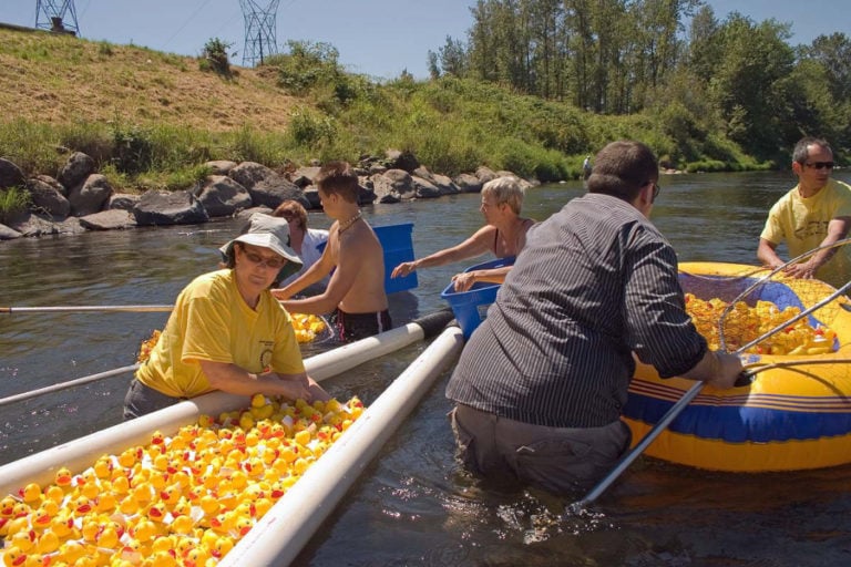 Camas-Washougal Rotary Club members collect rubber ducks from the Washougal River during the 2016 Camas Days Ducky Derby fundraiser.