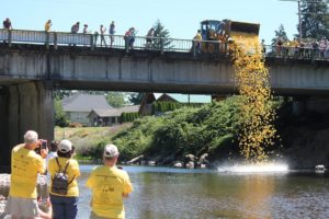 The Ducky Derby drop from the Third Avenue bridge into the Washougal River is a sight to behold. Thousands of rubber ducks will race down the river at noon Sunday to raise money for Camas-Washougal Rotary Club service projects and scholarships. Each duck costs $5 to adopt. (Post-Record File photo)