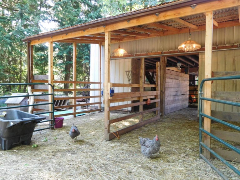 Odd Man Inn includes several areas of reclaimed materials and makes good use of small spaces. There is a small clinic in one area that serves as the medical treatment zone. A pole barn, above, has been used as an emergency triage area and for temporary goat housing, and will now be a maternity ward for one of the recently fostered, pregnant pigs.