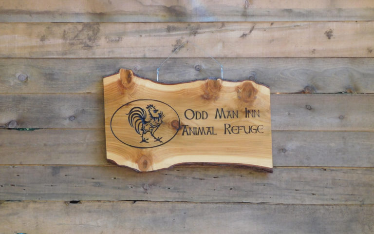 This carved sign on reclaimed wood welcomes visitors to Odd Man Inn Animal Refuge, a non-profit organization that helps wayward, abandoned, neglected, or otherwise displaced animals of many different species.