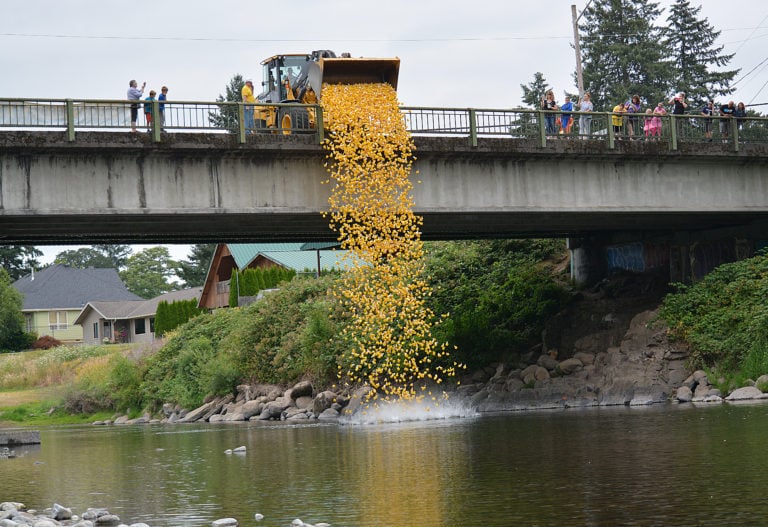 Spectators watch from the Third Avenue Bridge as 5,500 rubber ducks drop into the Washougal River Sunday to begin the 2017 Ducky Derby. The Camas-Washougal Rotary Club puts on this race during Camas Days weekend every year to raise money for its community service projects.
