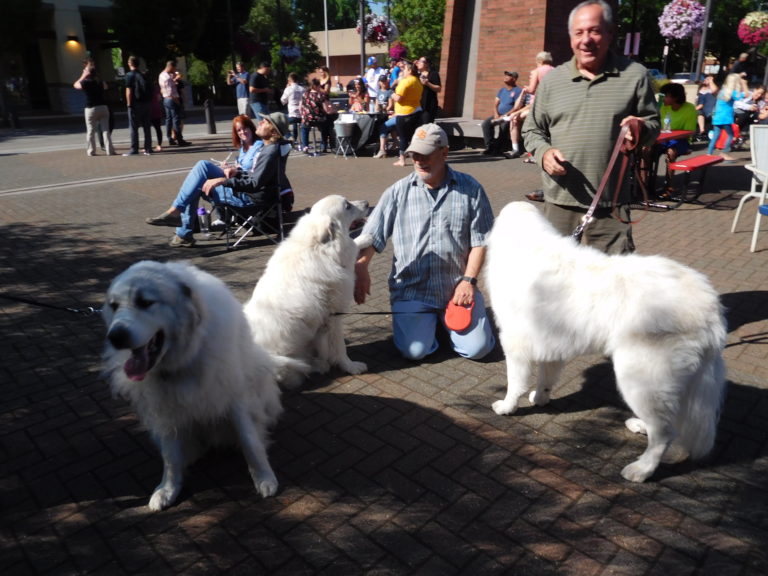 People and their pets turned out for the City of Washougal’s eclipse viewing event, in Reflection Plaza Monday morning. (Photo by Dawn Feldhaus/Post-Record)


