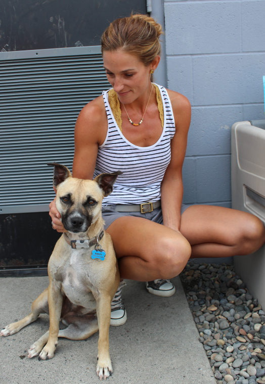 Linnea Justis has volunteered at the Washougal area Humane Society for eight years. On Monday, Aug. 7, Justis, of Washougal, helped Bailey, a 2-year-old mix that shelter staff call a &quot;pocket pittie,&quot; get some fresh air and sunshine in the enclosed play yard outside the West Columbia Gorge Humane Society.