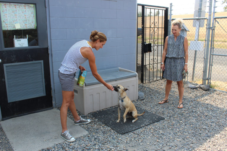 West Columbia Gorge Humane Society volunteer Linnea Justis (left) and WCGHS Board of Directors member Micki Simeone (right) play with Bailey, a 2-year-old dog up for adoption at the Washougal shelter, on Monday, Aug. 7.
