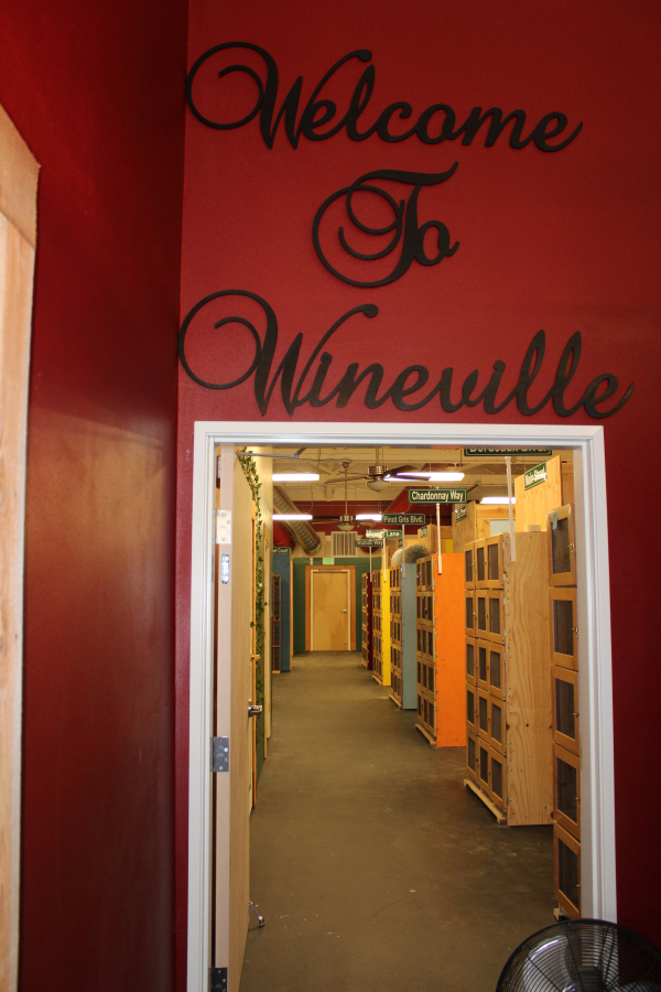 Wineville is the name of Salud!’s wine locker storage area. The new wine bar’s Wineville features “streets” with an assortment of rental lockers that will accomodate everything from a single case of wine to several cases of wine.