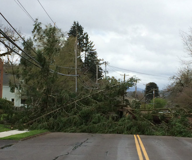 High winds in April of 2017 caused a large cedar tree to fall across Main Street in Washougal. Following a natural disaster, when local roads may be impassable, residents will need to have provisions to last at least 24 hours. Current recommendations, however, say a 21-day supply is optimal.
