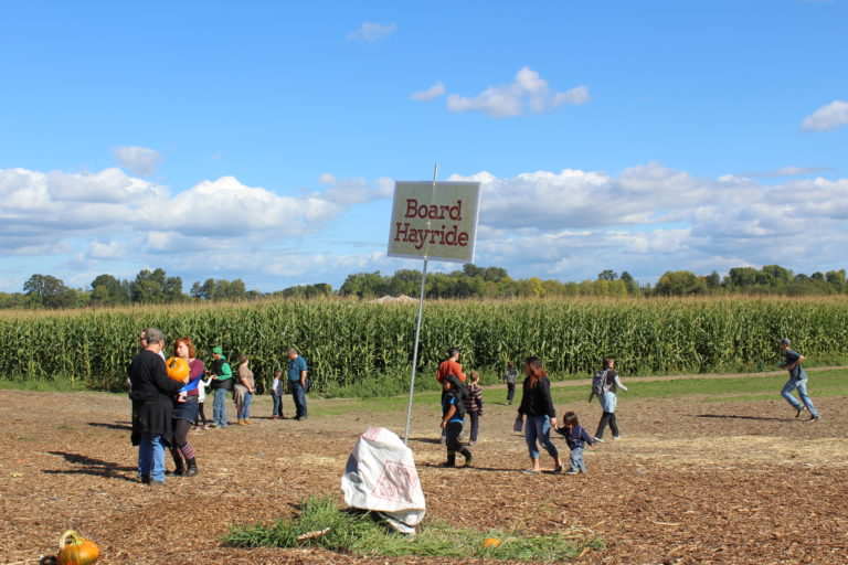Taking hayrides to find the perfect pumpkin is a favorite fall activity.