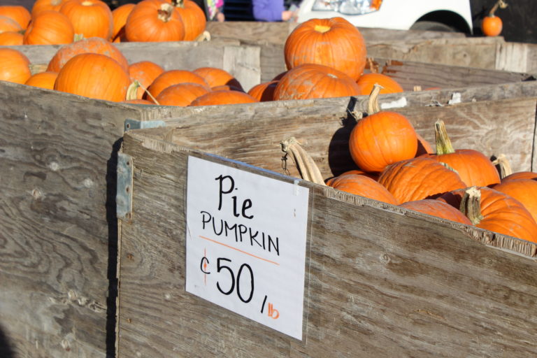 Don't forget your pie pumpkins when you're out searching for the perfect Jack O'lantern.