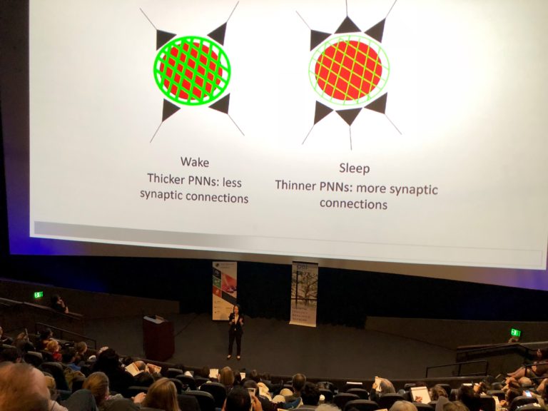 Camas High School junior Monica Chang pitches her research to more than 200 bioscience professionals attending the Oregon Bioscience Showcase Monday, at the OMSI Emperical Theater.