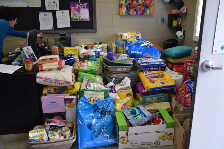Students at Camas Christian Academy participated in a fundraiser to collect supplies for the West Columbia Gorge Humane Society. Fundraiser leaders dropped off two vans full of donations to the WCGHS on Monday, Nov. 27.