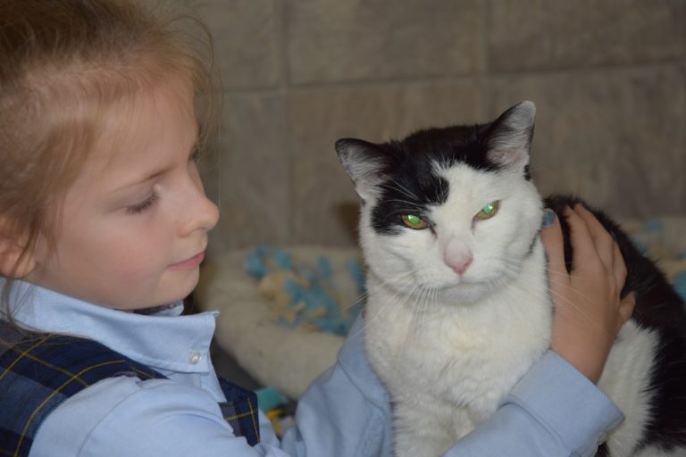 Brooke Rondeau, second grader, pets Ashton, a senior cat at the WCGHS.