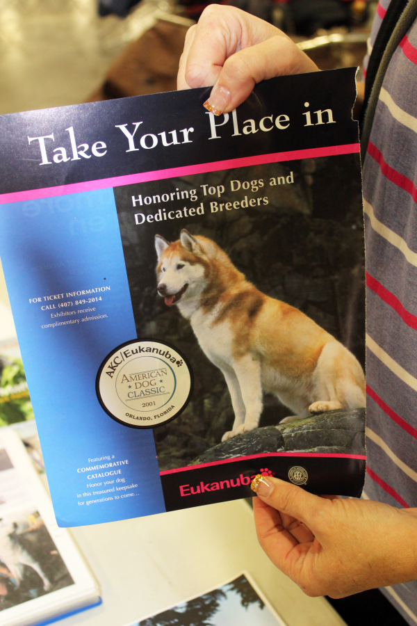 Karen Hamm Stenlund holds a Eukanuba ad featuring one of her family&#039;s Siberian huskies. The Stenlunds, of Woodland, have been showing huskies at dog shows since the mid-1970s.