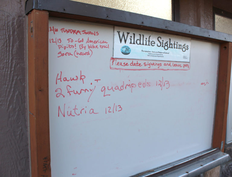 A sign at the entrance of the Steigerwald Lake National Wildlife Refuge near Washougal shows the wildlife sightings from Dec.