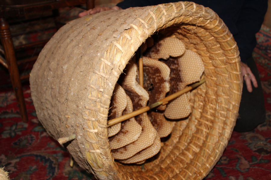 A failed skep beehive made by Susan McElroy-Knilans. The outside of the hive is coated with cow manuer, clay and wood ash that allows the hive to last up to 150 years. The hive failed when about 50,000 of the bees inside were poisoned by a pesticide used on plants in the area.