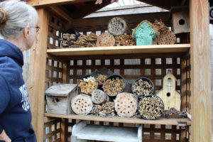 Susan McElroy-Knilans stands in front of her homemade pollinator houses in her backyard on Thursday, Feb. 8. The pollinator houses give all native pollinator bees a home. They are made out of stuffed straws or hollow sticks. (Photos by Tori Benavente/Post-Record)