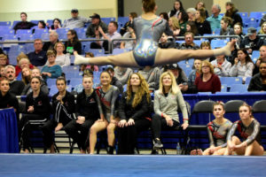Camas gymnast Jacqueline Purwins performs at the state on Feb. 16, as her team watches. (Contributed photo courtesy of Alan Shibata)