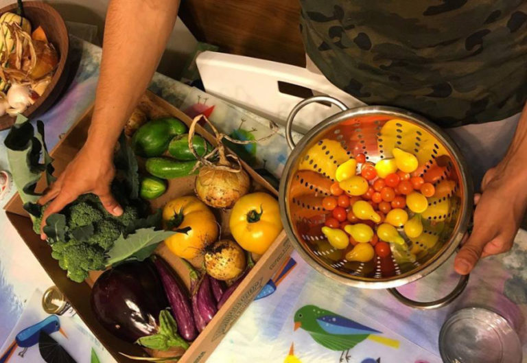Fresh produce from 50fifty Farm is available through weekly Community Supported Agriculture boxes. Stephanie Faull and Michelle Weeks, the 50fifty farmers, also will bring their produce to the Camas Farmers&#039; Market every other week through the 2018 market season.