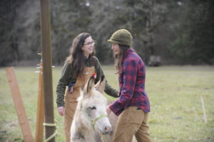 Farmers Stephanie Faull (left) and Michelle Week (right) help free a tangled Picasso the donkey at their 50fifty Farm in Camas on Friday, March 9. 