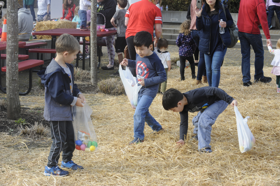 Above: Children search for colorful plastic Easter eggs hidden in hay in Reflection Plaza in downtown Washougal, on March 28. The eggs contained candy, stickers, toys and coupons for free plant starts donated by Washougal Hardware. "EGGstravaganza" sponsors included the city of Washougal, the Downtown Washougal Association and iQ Credit Union. 