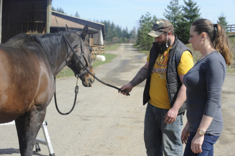 Chiropractor Karen Holen (right) talks with Tanner Hughes (center) who boards his 21-year-old mare, Jayme (pictured at left), at Windy Ridge Farm in Washougal, about how horses can get out of alignment through normal riding, driving or even playing in the pasture.