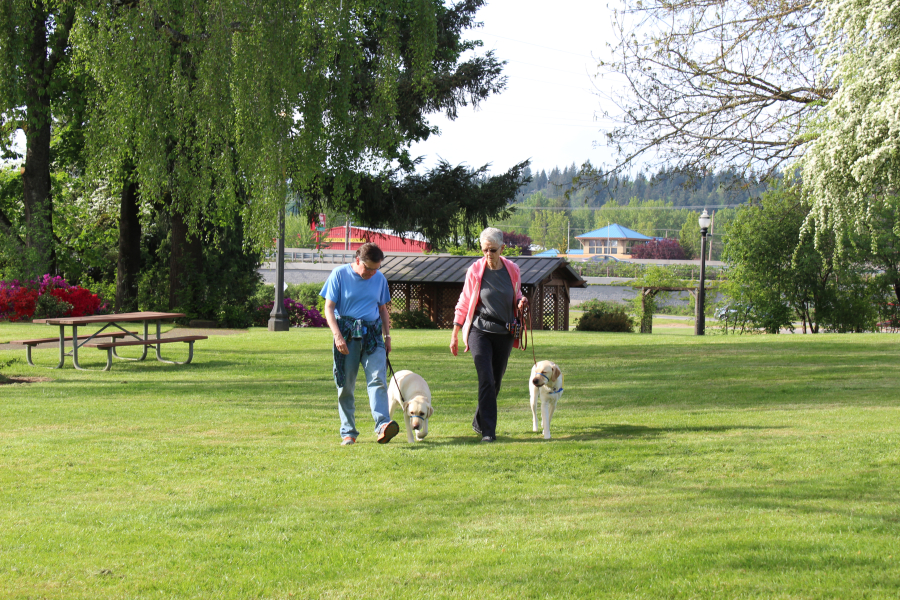 Steve Hofmaster, a Camas Lions Club member (left), walks his pet dog, Fremont, with Millie Bowens, of Vancouver, and her puppy-in-training, Tanveer, on May 4, at Parker's Landing. Hofmaster participates in the Camas Lions Club's service partnership with the California-based Canine Companions for Independence, which pairs assistance dogs with disabled adults and children, the hearing-impaired and others in need.