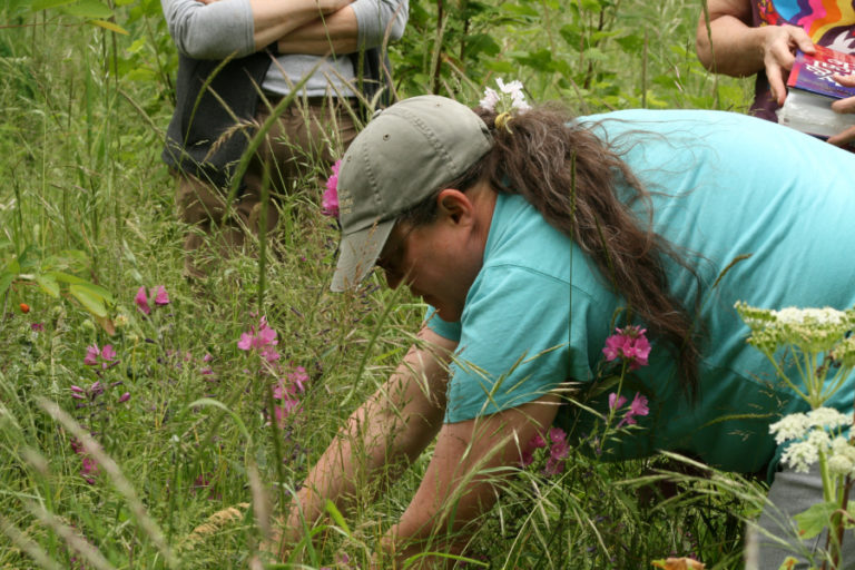 Cyndi Soliz, with the Cape Horn Conservancy, works to protect native wildflowers along the Cape Horn Trail on the Washington side of the gorge.