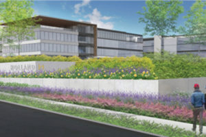 A rendering of how the future Holland Partner Group's new Camas headquarters might look from Northwest 38th Avenue. The Vancouver-based development group plans to build a massive, mixed-use development in west Camas, near the Fisher Investments'; campus. The Grass Valley development will include a Holland headquarters, two other office buildings, a 276-unit apartment complex and an artisan grocery market. (Illustration by Mackenzie Architecture, courtesy of city of Camas)