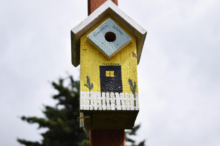 One birdhouse that hangs on a post outside Washougal city hall where a new mother bird has chosen to hatch her eggs, Saturday, June 23.