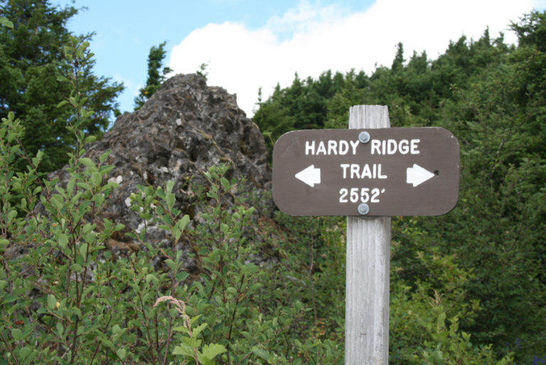 The Hardy Ridge Trail is only one ridge west of the crowded Hamilton Mountain trail and the views are nearly identical.