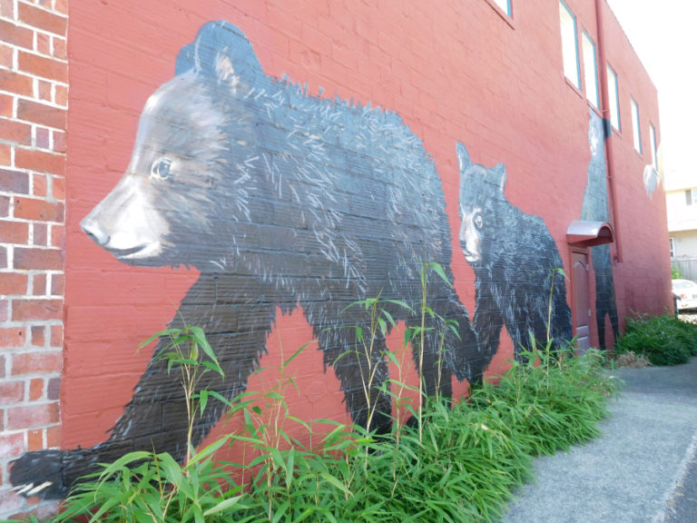&quot;Cub-napped,&quot; by Travis London, is street art painted on a wall of the historic Blair Building. London said the art depicts the story of the Lewis and Clark expedition taking the cubs in 1806 when they camped in Washougal and found a den without a mother bear.