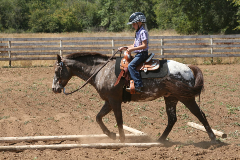 Aubrie Wheeler, 8, rides her pony, &quot;Little Romeo,&quot; at her family&#039;s Camas farm.