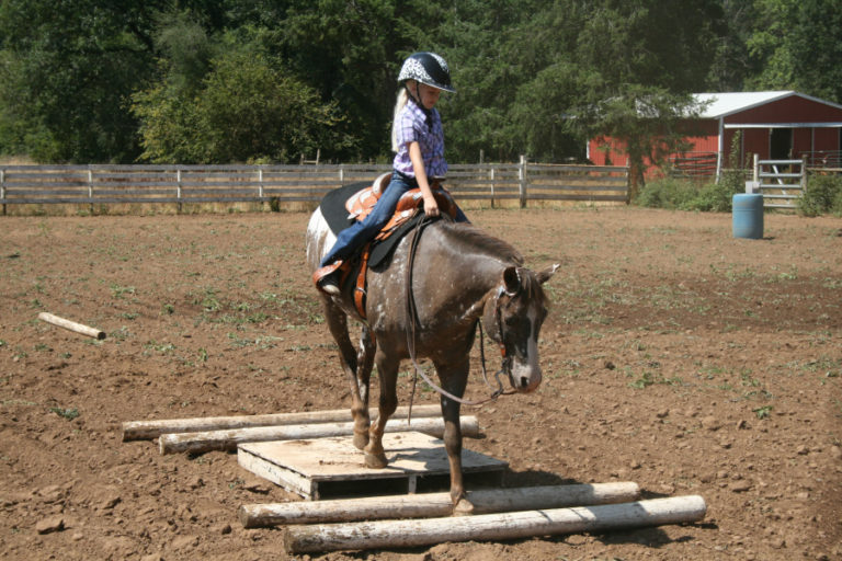 Aubrie Wheeler takes her pony &quot;Little Romeo&quot; over an obstacle at her home near Fern Prairie.