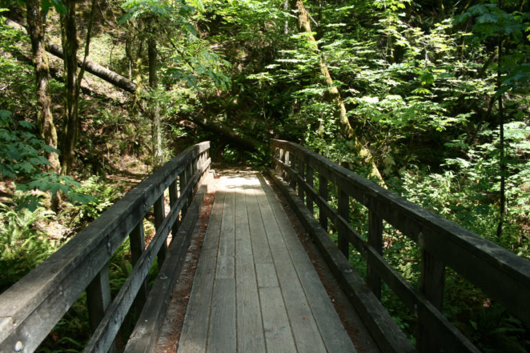 This well constructed bridge across greenleaf creek is typical of bridges along the PCT in Washington and Oregon.