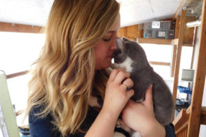Megan Collins, the new director of operations for the Washougal-based West Columbia Gorge Humane Society, spends time with an adoptable cat in the shelter's catio. Collins has more than 10 years of animal welfare experience, specializing in operations and programming. 