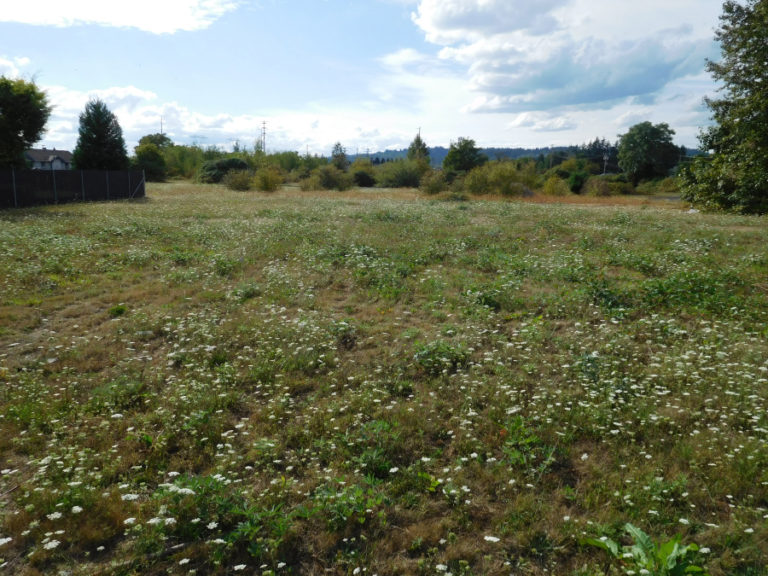Goodwill Industries of the Columbia Willamette and the Vancouver Clinic own property in Washougal that will be explored as a potential site for a Camas-Washougal community center. The vacant land is located south of the BNSF tracks near The Crossing development.