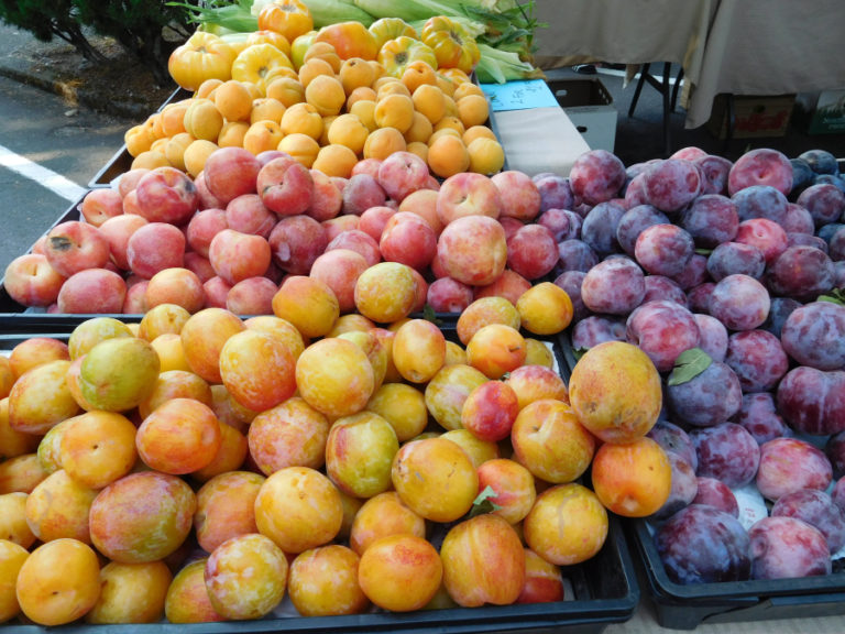 Fresh fruit is available to buy at the Camas Farmer&#039;s Market. There are also baked goods, salsa, waffles, wine, flowers and soaps. Dinner options include hamburgers, gyros and teriyaki chicken.