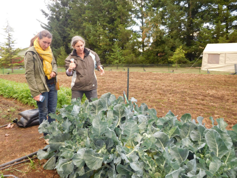 Sam Jennings, (left) of Washougal, and Lara Scanlon (right), co-owner of Colibri Gardens, in Skamania County, talk prior to a &#039;Shougfood&#039; meeting at Shady Grove Farm, in Fern Prairie.