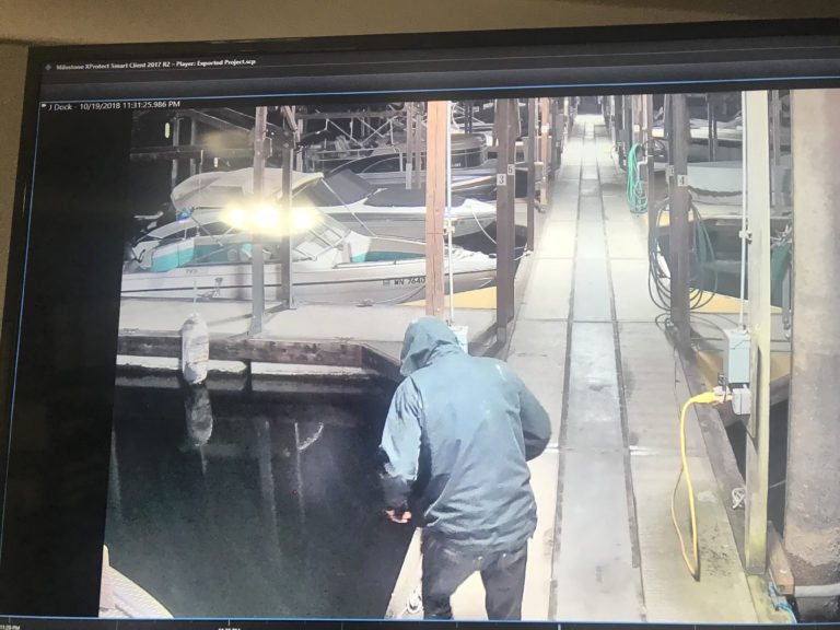 (Contributed photo courtesy of the Port of Camas-Washougal)
A boat theft suspect, wearing jeans and a hooded jacket, was recorded on 'J' Dock, at 11:31 p.m., Oct. 19, on a Port of Camas-Washougal marina camera. Four boats have been stolen from the port marina within the past two months, and all of them have been recovered.