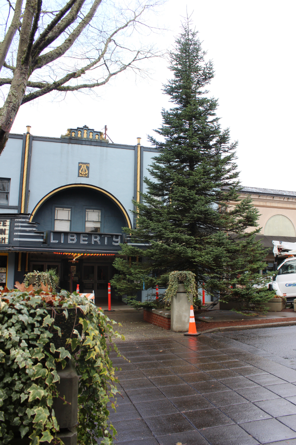 Camas city staff put this year&#039;s Hometown Holidays tree up in downtown Camas this week. Camas Mayor Shannon Turk will light the tree during the annual holiday celebration on Friday, Dec. 7.