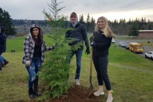 Camas High students (from left to right) Gianna Carr, Rylan Marshall and Madeline Hanton plant a native tree sapling on Dec. 14, as part of the Camas Green Team's attempt to 'reforest' their hometown. (Contributed photos courtesy of Camas High School Green Team)