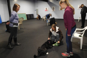 Julie Mills (left) teaches a manners class at High Expectations Dog Training, in Camas. The business, founded in 2008, also offers puppy and scent detector classes, as well as behavior modification, agility sessions, private training and Canine Good Citizen testing.