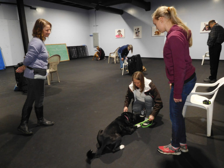 Julie Mills (left) teaches a manners class at High Expectations Dog Training, in Camas.
