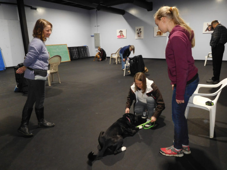 Julie Mills (left) teaches a manners class at High Expectations Dog Training, in Camas.