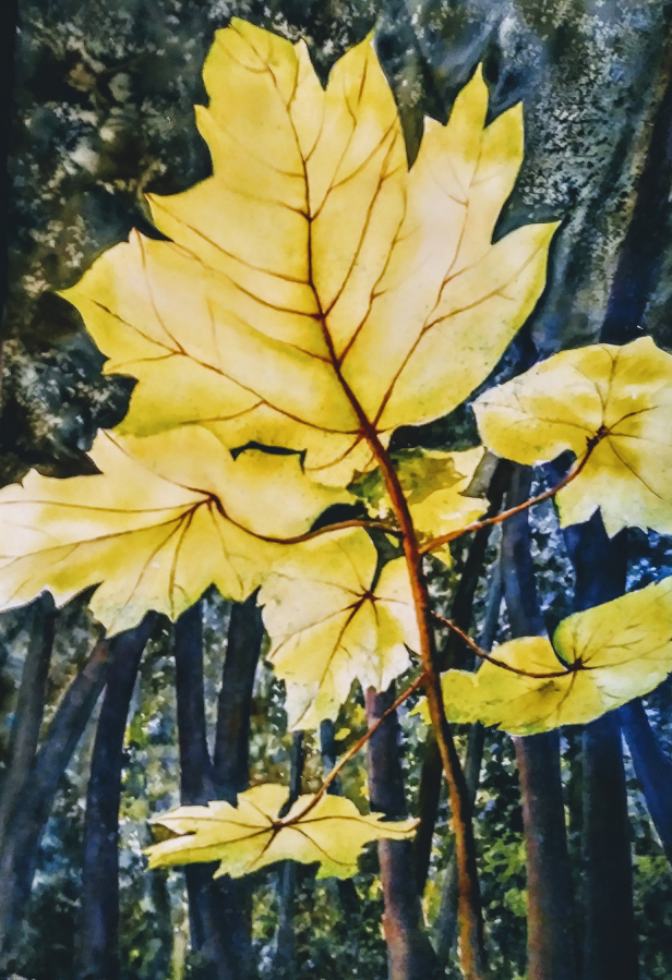 &quot;Olympic Forrest&quot; by artist Mary Griffin is one of the pieces that will hang at the Second Story Gallery in downtown Camas throughout the months of February and March, during a show featuring 24 different artists.