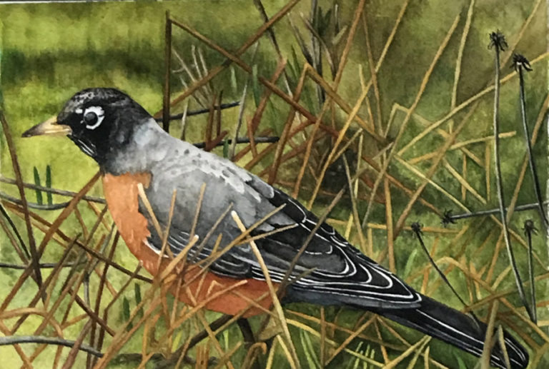 Watercolorist Lynda Raven Brake&#039;s painting, &quot;First Sign of Spring,&quot; will be featured at the Angst Gallery in Vancouver, April 4 through April 29.